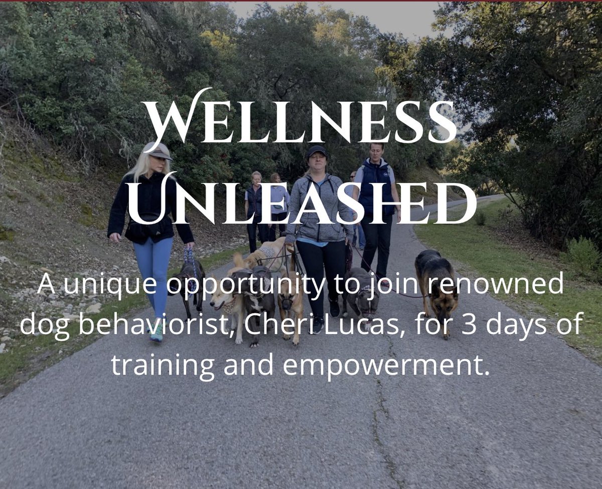 CheriWLucas's tweet photo. 3 OPENINGS Sept 25-27
#WellnessUnleashed: unique 3-day weekend of #wellness & #dogtraining limited to only 8 #women (& their dogs ๐ถ)
#California
โ ๏ธ๐ท๐งผ
Catered ๐ฝs
Fri workshops๐ฅ๐พ (Optional hot๐)
Sat-Sun Learning & Sharing
๐ https://t.co/JPtIIylzup #LifeCoach #DogTrainer https://t.co/SCEECXhxK5