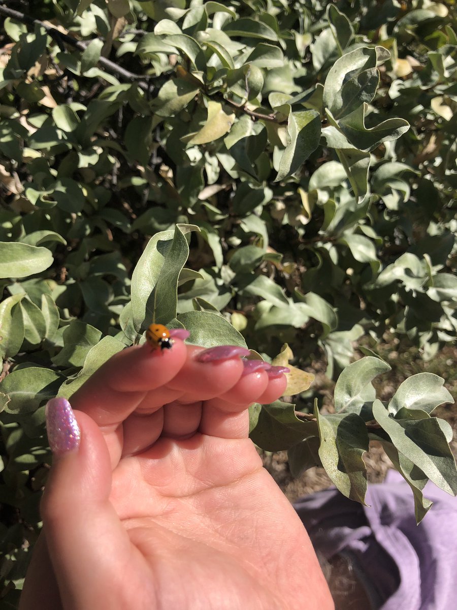 Ms. Martin's Grade 4 Class tweet media