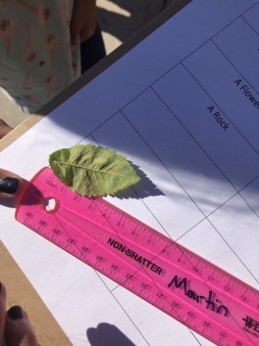 Ms. Martin's Grade 4 Class tweet media