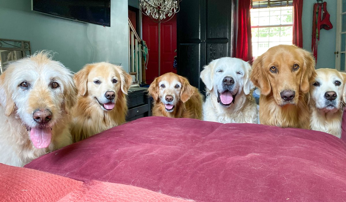 Would you be interested in SDSI ratings for the squad?(Of course you would! Let's do it!) 2/