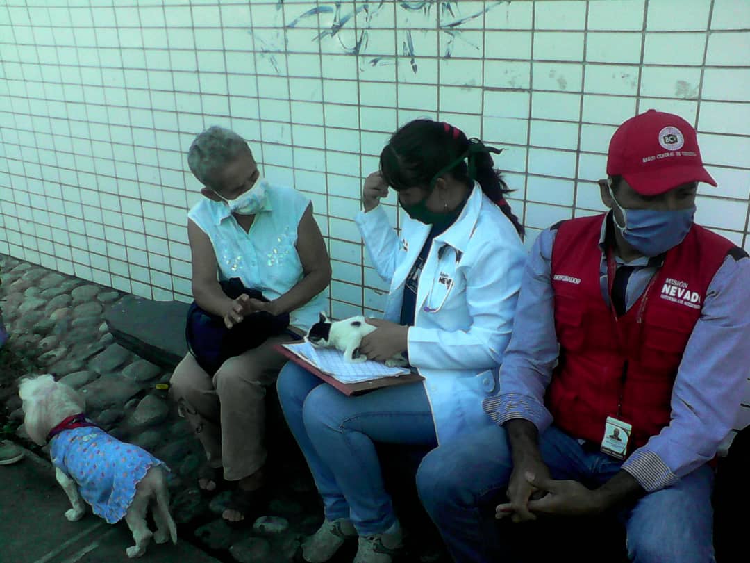 SomosNevado's tweet photo. El equipo de #MisiónNevado en el estado #Trujillo brindó atención en el Consultorio Veterinario Integral en Valera. Fueron atendidos 9 animales de compañía, se realizaron 4 desparasitaciones y 3 tratamientos según la patología presentada. 

#LaCapacidadDeAmarEsInfinita #11Sep https://t.co/OX5fOtBvau