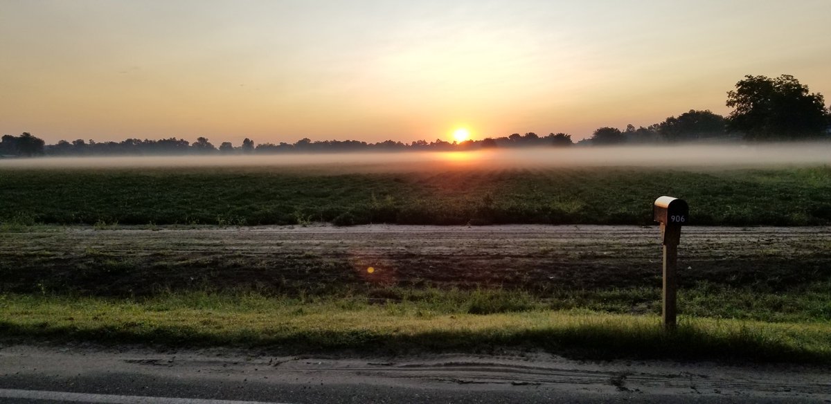 NathanGSanders's tweet image. #sunrise #agriculture