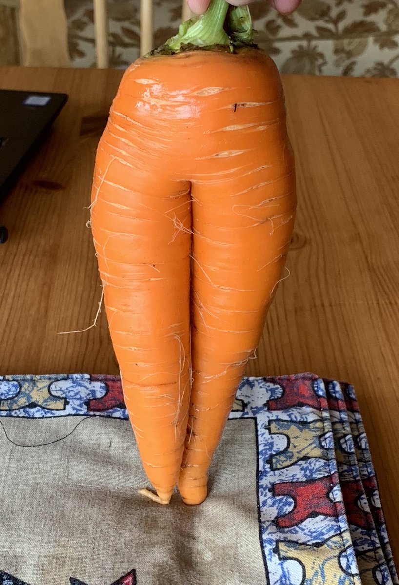 AnnMarieSheehy's tweet photo. From our garden, this one has to get the sexiest carrot award! #carrots #Homegrown #selfsuffient #gardening #veggies #uglyveg @jamieoliver https://t.co/T8Wi3VT17y
