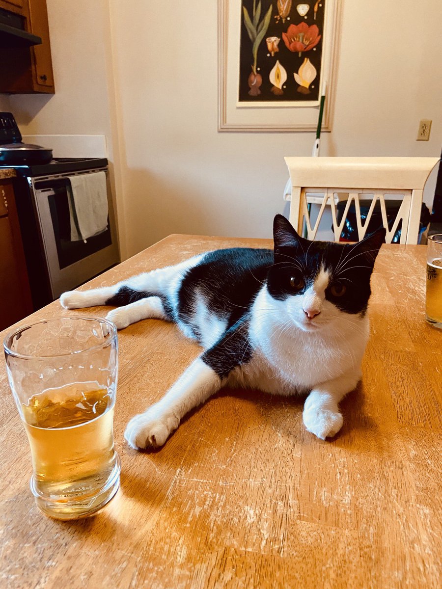 BMeowfield's tweet photo. Yes, it is my birthday. And yes, I deserve this fucking beer. And also this other beer behind me. #cheers https://t.co/jbBkqKL0gU