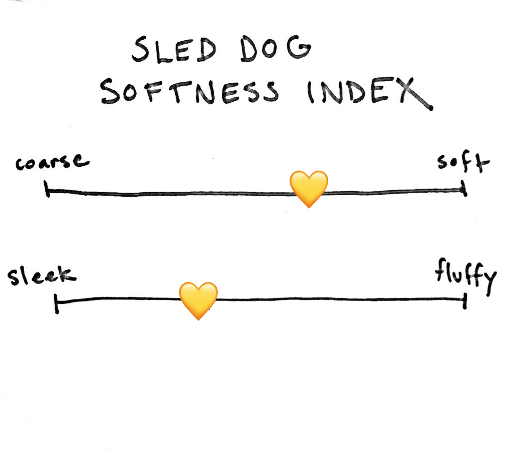 Jasmine was a bit less fluffy. She also had a lot of skin problems in her previous life so was missing some soft soft undercoat. She's a 6/106/