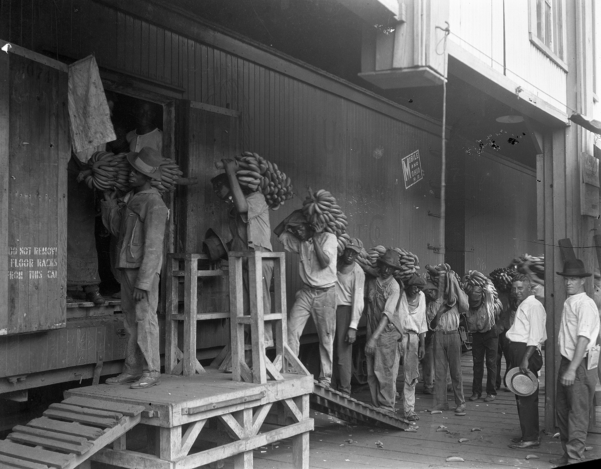 2/ But Sam Zemurray had dreams. He wouldn't let minor obstacles block his path.Still in his teens, he went to Mobile, Alabama, where he watched the large fruit company ships offload their product at the port.This was where he first saw the banana, then a rare, exotic fruit.