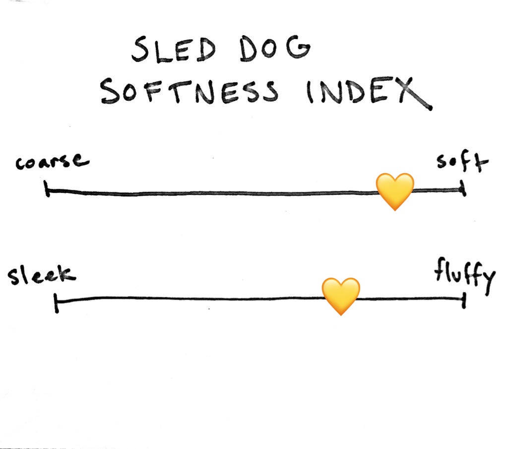 Boyfren Riley was so soft! I miss his fur so much! He was also pretty fluffy, though he had a little wave of coarser fur across his back SDSI: 78/