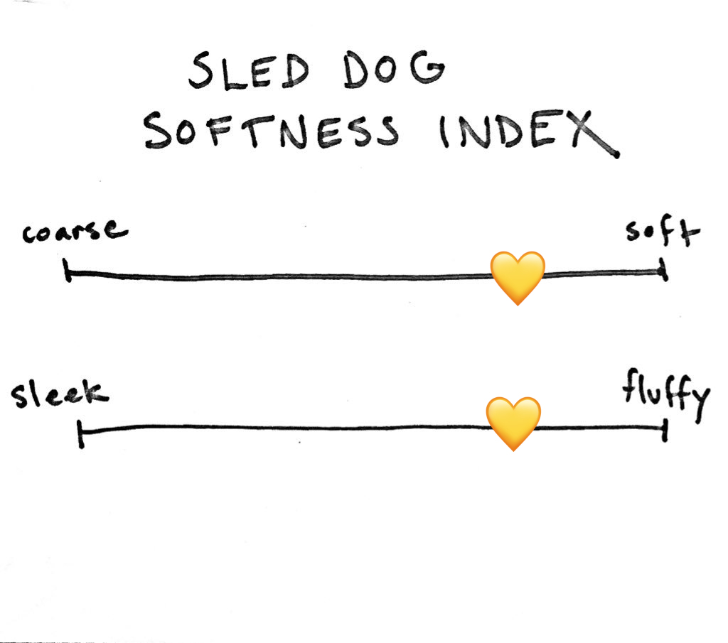Hopper is SO SO soft! Her chest fur (when we can get her to stay dry for 5 minutes) is like a cloud. She's also pretty fluffy, especially if you count fur that hangs down as fluff. We award her a 10/10 on the SDSI! 9/