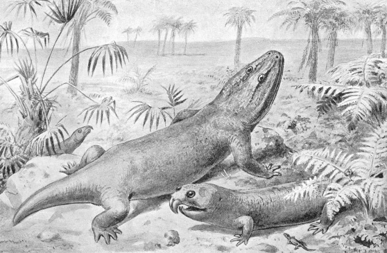 That name actually makes no sense if it's supposed to be  +  but I don't make the rules on hybrids : excellent 1894 art by Joseph Smit feat. the rhynchosaur Hyperodapedon