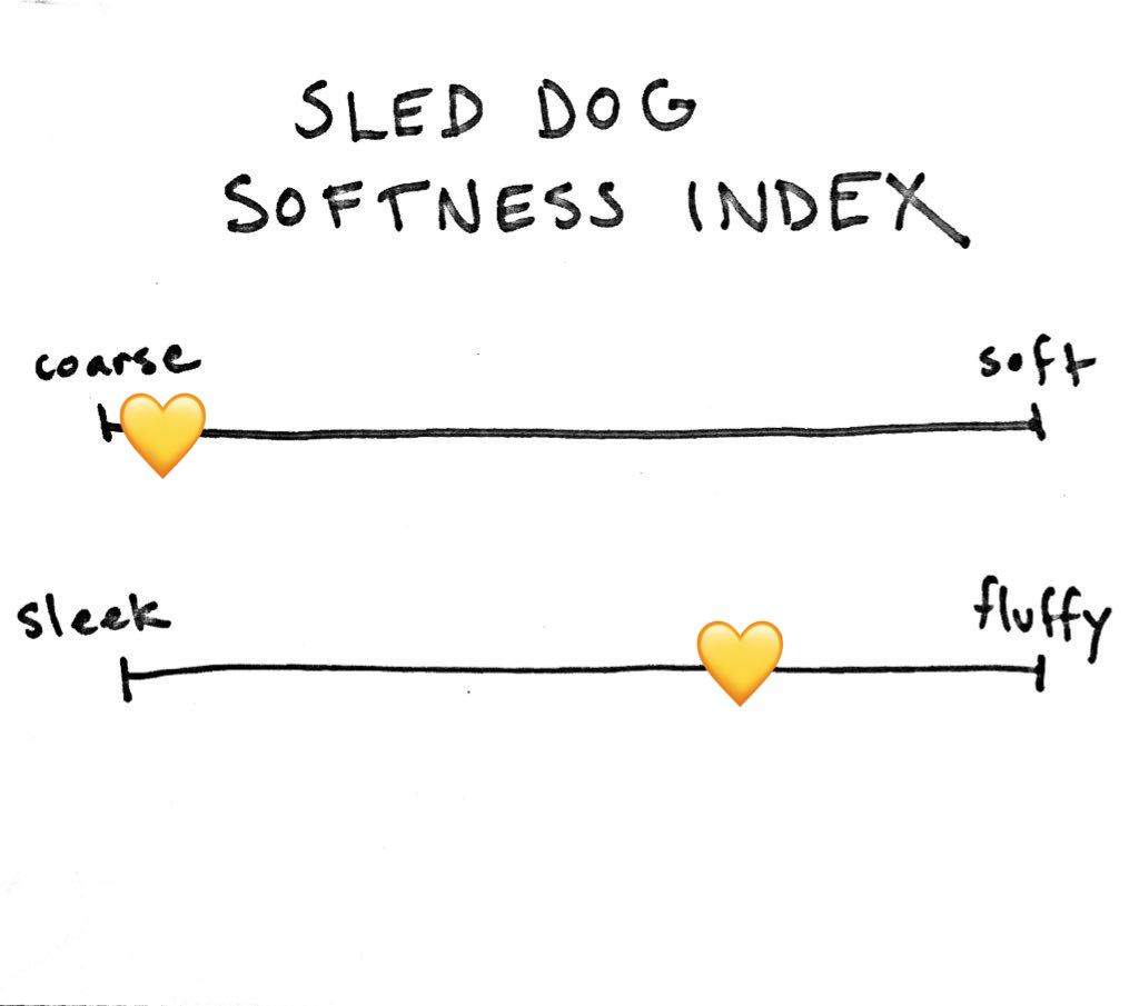 St. Patrick has his own booties. Not sled dog booties, but he likes them anyway. He's our only non-golden and his fur is very wiry. He still pulls off a lot of fluffiness (he's shaggy, fluffy, fantastic). He's our least soft dog, but still at the top of our hearts. SDSI 3/10