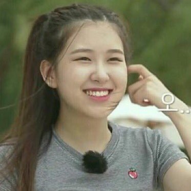 ⠀⠀⠀click on the chipmunk!⠀ ⠀⠀⠀⠀⠀⠀⠀⠀