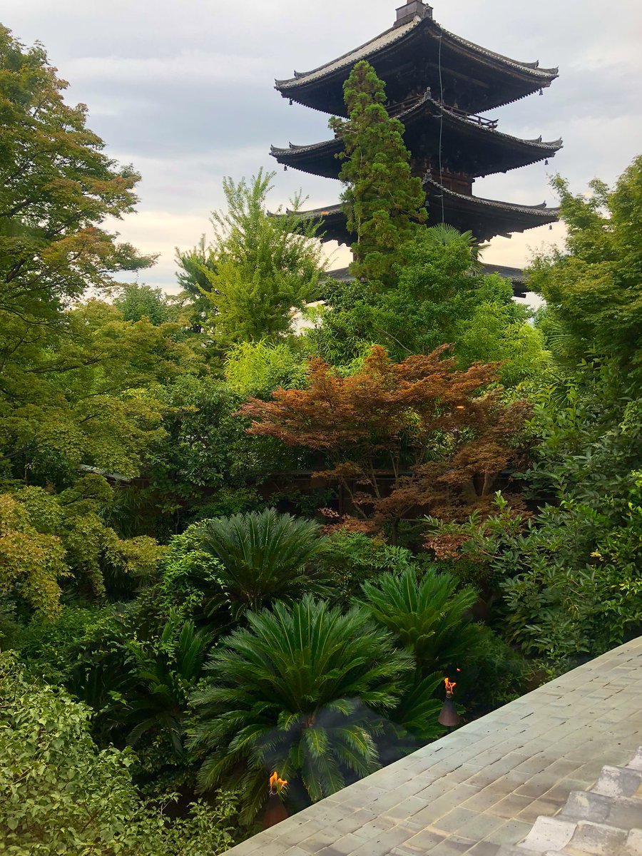 oniwastagram's tweet photo. ⛳️THE SODOH HIGASHIYAMA③。
現在のレストラン/式場としてオープンしたのは2014年。建築のデザインを手掛けたのは京都、東京、香港を拠点とするインテリアと建築の設計施工ユニット #FHAMS 。そして庭園の作庭は #阿波三松園 。
建物内からは八坂の塔🗼や清水山⛰の絶景も!
#庭園 #近代建築 #京都 https://t.co/VshSzHuU6V