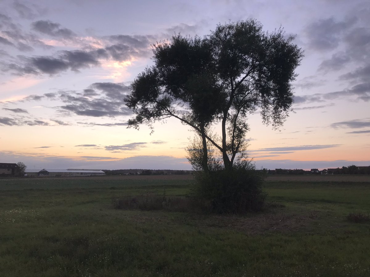 yeontaetae242's tweet photo. @BTS_twt Happy Birthday to the best leader in the world! 🥳💜 May you always be happy and healthy!!! 🥺💜 
Thank you for always giving us your wise words and letting us listen to your amazing music!  #SkyForNamjoon https://t.co/FRMfOAFGNx