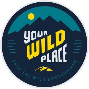 yourwildplace's tweet photo. How do you get in shape for hunting season? In this episode, Henry talks with the founder of Train to Hunt. If you haven't heard of #traintohunt, it's sort of like a tough mudder for hunters. Learn more by listening to the Your Wild Place #podcast

https://t.co/Bv2QnSqfK7 https://t.co/guFJH7MFl7