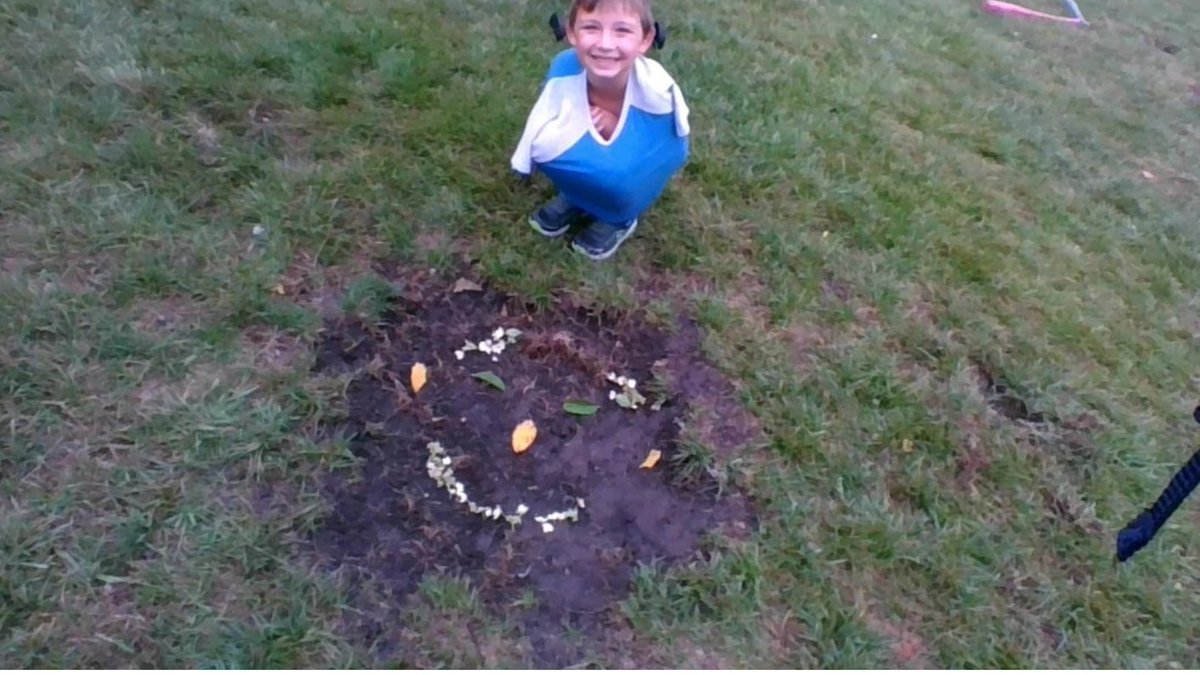 d61lupella's tweet photo. I just love these "All About Me" faces! The students used nature items found outside to build this STEM project! Awesome creativity!! #d61learns https://t.co/dyEGhvuBVE