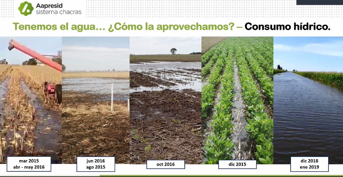 Regional_VM's tweet photo. Gran trabajo de todo el Nodo Oeste de Aapresid en el Análisis de 3 Campaña de Soja + Clima + Manejo de excesos hídricos!! 📊📈🌱♻️#juntosSabemosMas @aapresid @GuilleDivito @fernandoforgio1 @IngJoseCuello @rafaboiero @raulmontalvo82 @vittolino https://t.co/3BIwvx98Eq
