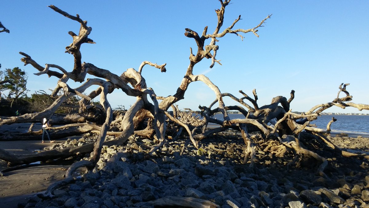 GeorgiaHistoryGuy tweet media