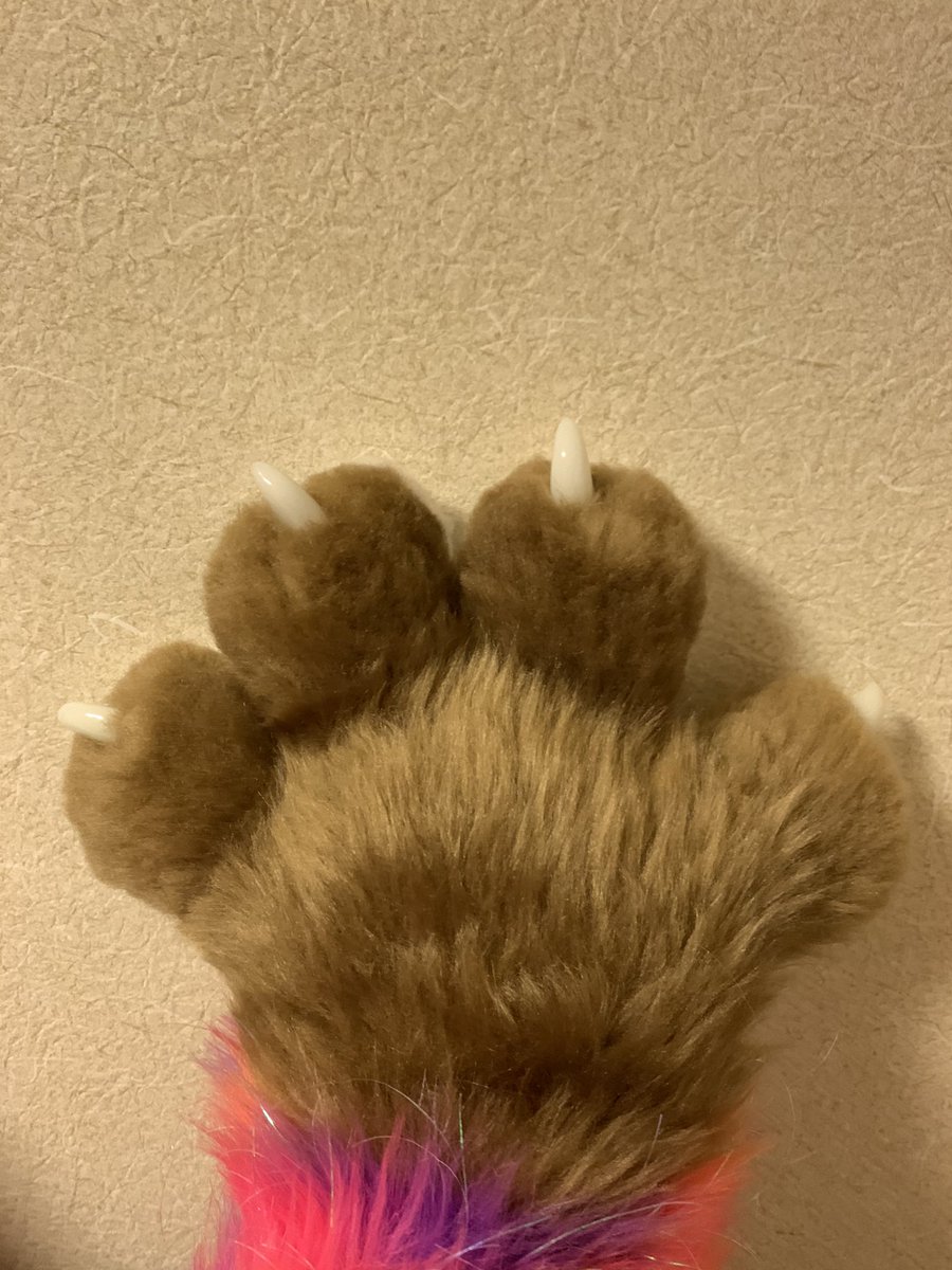 foxtlw5's tweet photo. Hands and tail🐶
#fursuits https://t.co/wgVXKfPQuU
