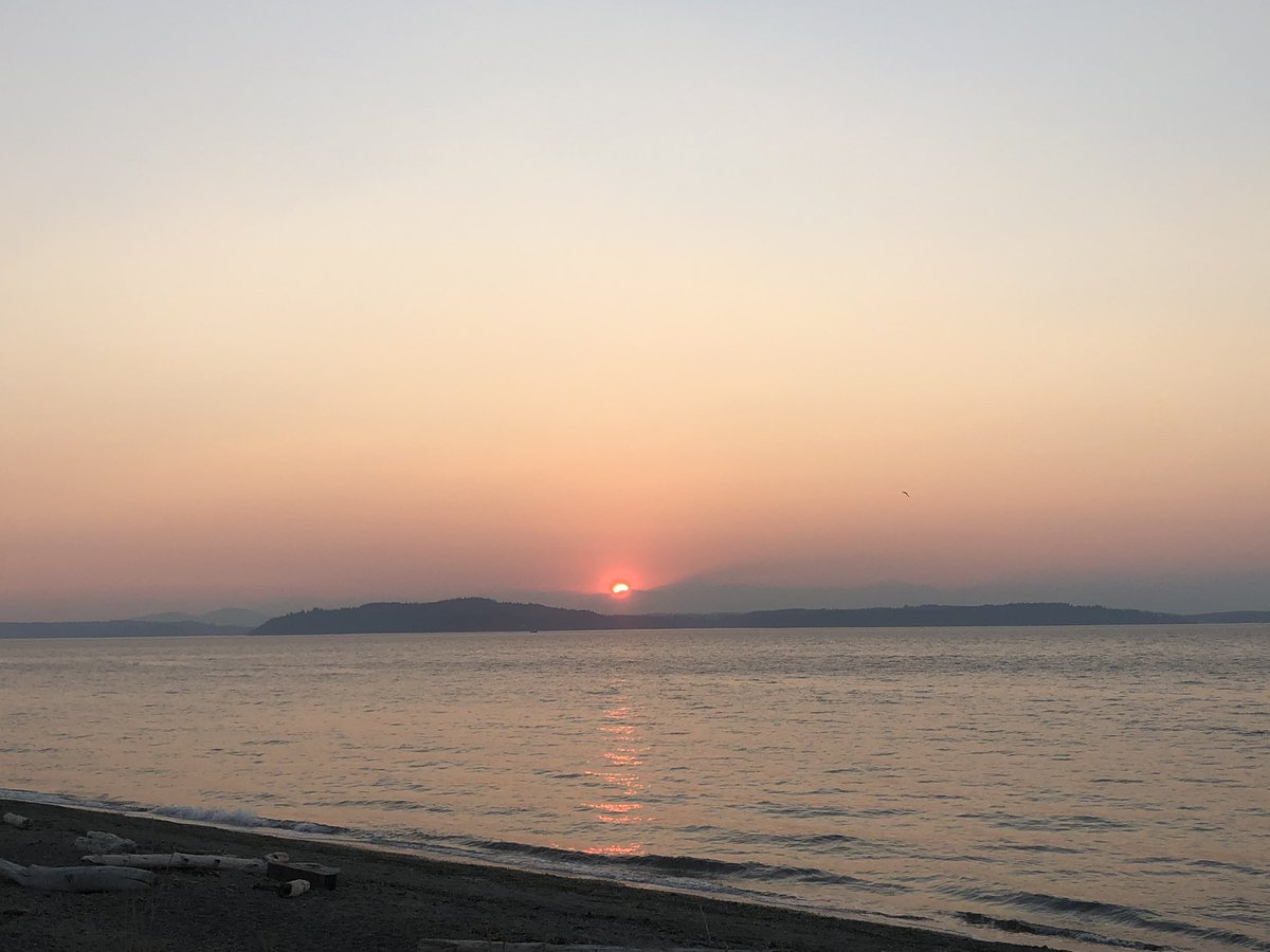 trainernicole's tweet photo. @TheOnlyCayote @otxwcm I’m glad you’re all safe! It’s smoky here as well, but not as bad as what it looks there in my area. I agree, it is scary to see it blasting through the rural areas with lots of homes and telephone wires like Bonney Lake / Lake Tapps 😢 https://t.co/yU55jHS0hx