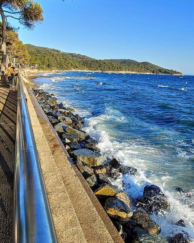 ilgsainttropez's tweet photo. ... A la base "Yoya" voulait se baigner ! Mais assise elle a regardé de droite à gauche ... et n'a plus bougé 😅#gigaro #tropdevent #aout2020
~
📸 Yann | https://t.co/kCoo3i11SN
🚩 https://t.co/iKBe12pWw3
~
#onatousbesoindusud #lacroixvalmer #sunset #france https://t.co/stnZw1homb