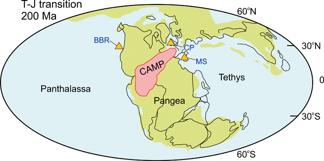 ScienceAdvances's tweet photo. New research suggests that dwindling oxygen in the world’s oceans may have been partially responsible for the end-Triassic mass extinction event, one of the “Big Five” extinctions in Earth’s history. https://t.co/xwpWV2J0QP https://t.co/z9rgKiKgBf