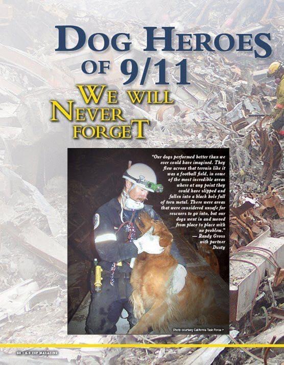 PicklesProject1's tweet photo. Because #dogs are heroes too! ❤️
#NeverForget #Remember911 #NeverForget911 #FDNY https://t.co/NsWng1i4LK