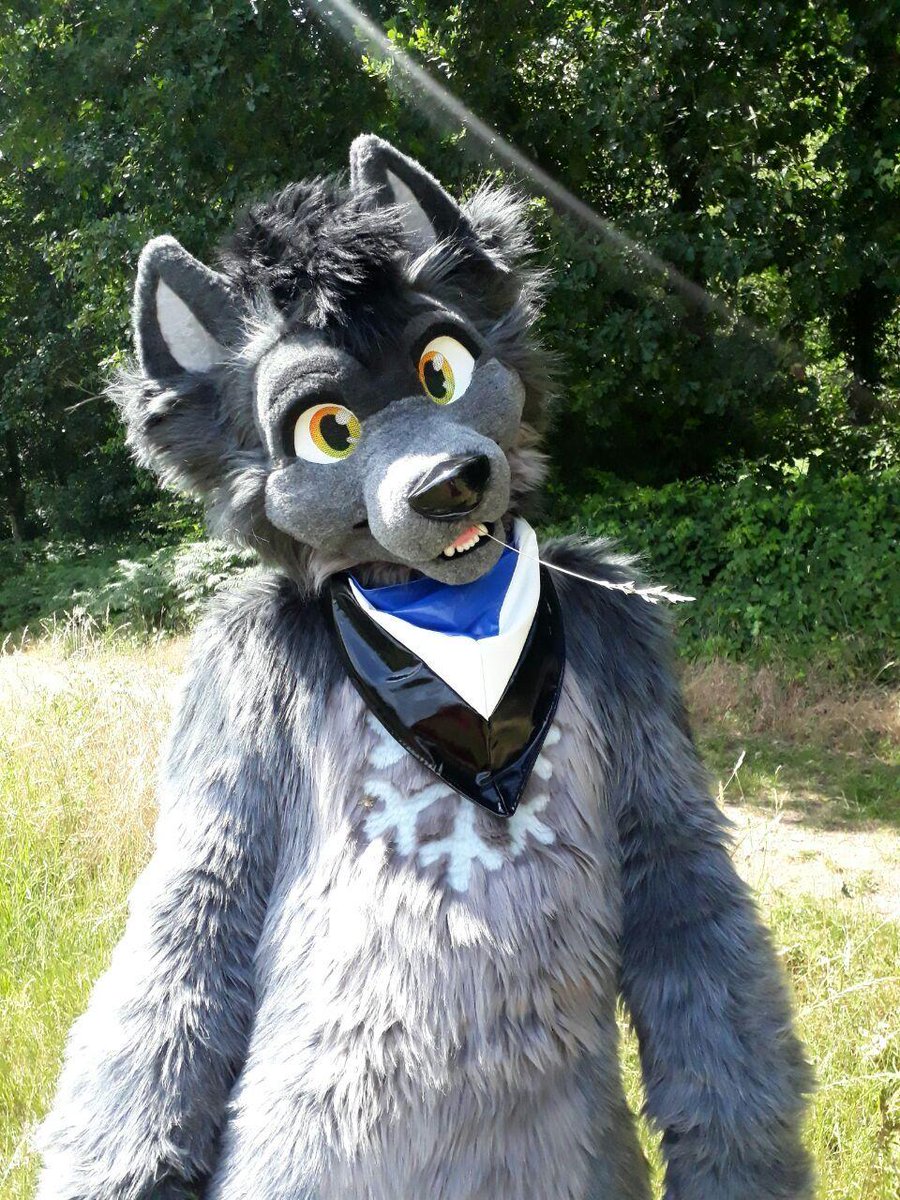 SzurkyWolf's tweet photo. Relax guys it's almost the weekend :D
Photo by @Andrew_fox62
#FursuitFriday #Fursuiter #FurTheWin #cutefursuit https://t.co/K0JE6KVu1X