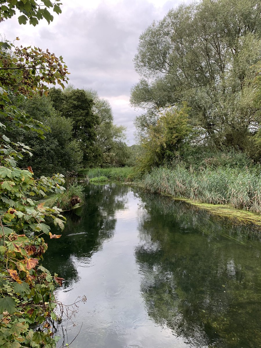 Abbotts Barton, where the  #Itchen flows towards Winchester. This is, I learn, a sacred spot for all fly fishermen: the stretch of river where G. E. M. Skues invented “fly-fishing with the nymph.” (Not entirely sure what this means, but kudos to Skues!)