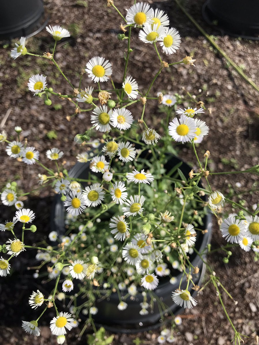 Logan Smith tweet media