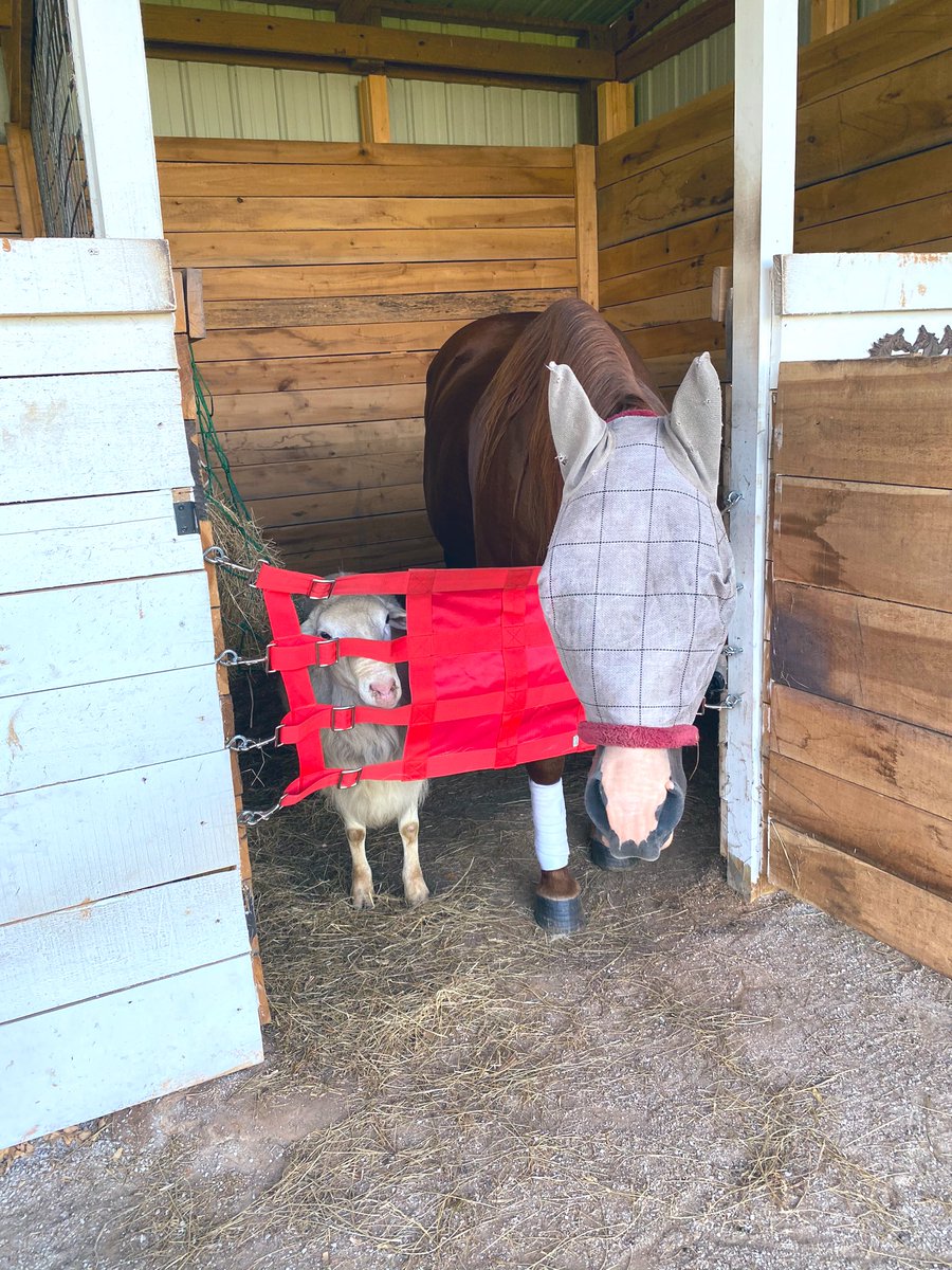 jonlynconway's tweet photo. What a ladies man... https://t.co/jWrqYU78EG