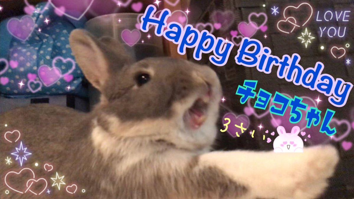 Choco_Rabbit912's tweet photo. 【🎂♥️3歳になりました♥️】
ボクの3歳になった記念の
LINEスタンプができたみたいだよ🐰💕🌸

■第2弾 LINEスタンプ♥️
関西弁～うさぎの国のおチョコ様～💗🐰🌸
■https://t.co/kV5CJmY5lj■

第1弾はコチラ( * ॑˘ ॑*  ) ⁾⁾
■https://t.co/FF0z6EUEcZ■

みんなに使ってもらえたら嬉しいな🐰💕🌸🌸 https://t.co/0IQoHV2Gel