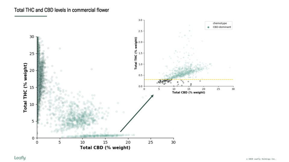 Plot showing Total CBD vs THC levels in  #cannabis flower in the US for 1000s of samples. Most are THC-dominant (5:1 THC:CBD or higher). Some are CBD-dominant (high CBD + low THC) and some are Balanced (some THC + some CBD). Inset on right zooms in on CBD-dominant samples. 1/3