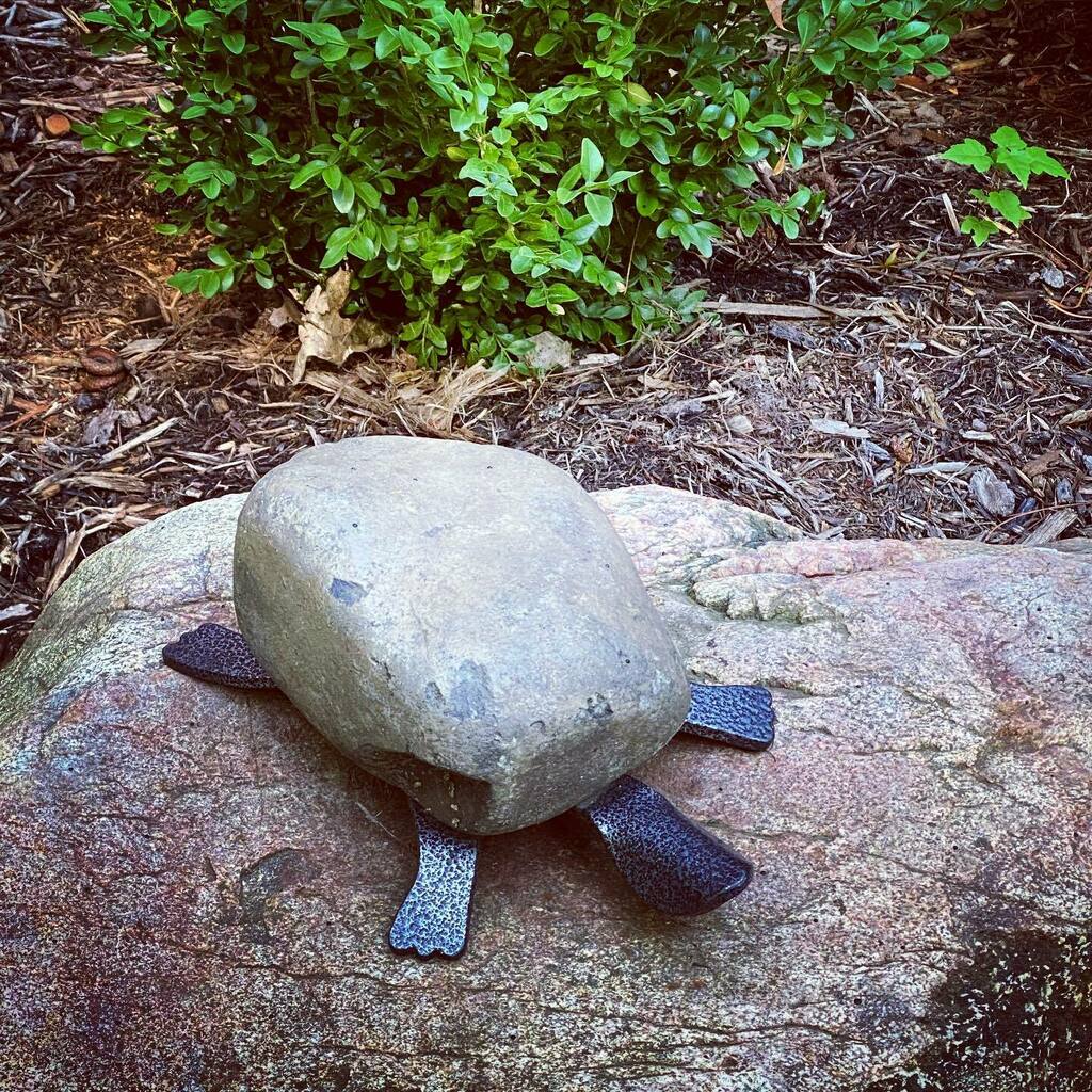 djogrolyo's tweet photo. #turtle #yardornament #fall #preparingforfall
#Northwoods #NorthernWisconsin #AlvaLake #Harshaw #Cabin #Cottage #CabinLiving #Nature #Forest #SecondHome #Wildlife #NoHuntingZone #AllAnimalsWelcome #Peace #Solace #Love https://t.co/CCRRYsk0IM https://t.co/sTM925IgBL
