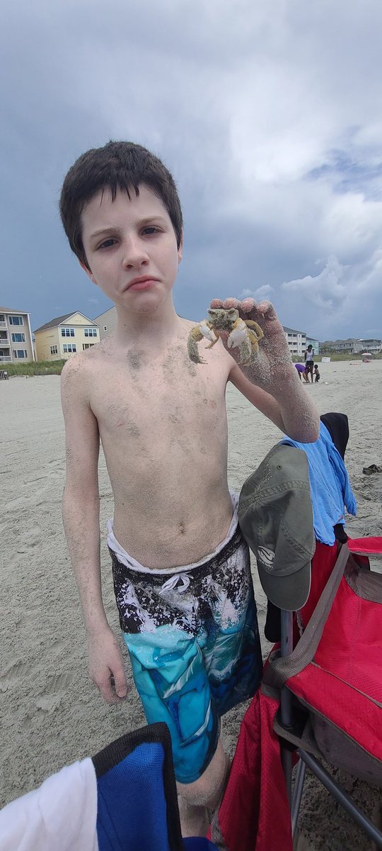 Gam3rdudeJ's tweet photo. Dominic accomplished his mission of finding a crab but it was dead. He's  currently burying it in the sand. 
"Alexa, play Taps" https://t.co/1OzEgq2WEn