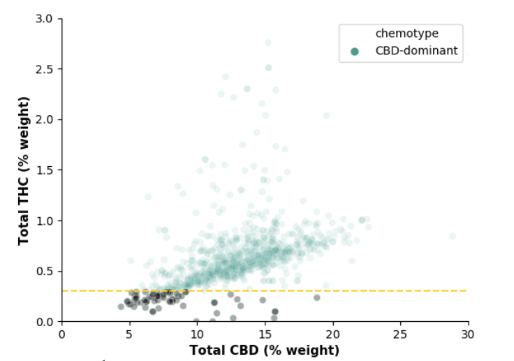 All hemp is CBD-dominant  #cannabis. Dashed line below is 0.3% THC, which marks the arbitrary, legal definition of hemp in the US. As you can see, most CBD-dominant samples are above this threshold, and so are not legally considered hemp even though they are CBD-dominant.2/3