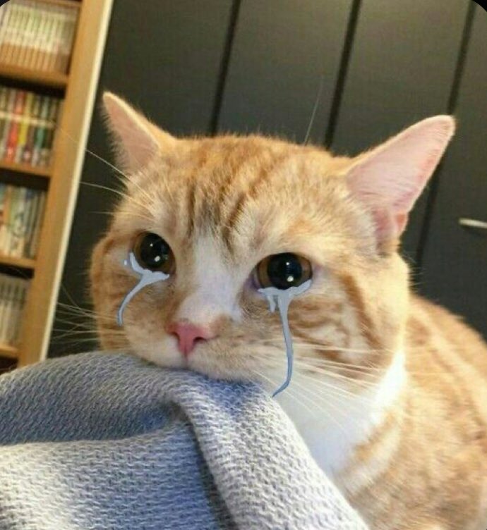 kimkihulya's tweet image. Yaşı henüz on yediydi ama seksen beş yaşında ki bir nine gibi titreyen elleri, ruhunun eseriydi.

#opia