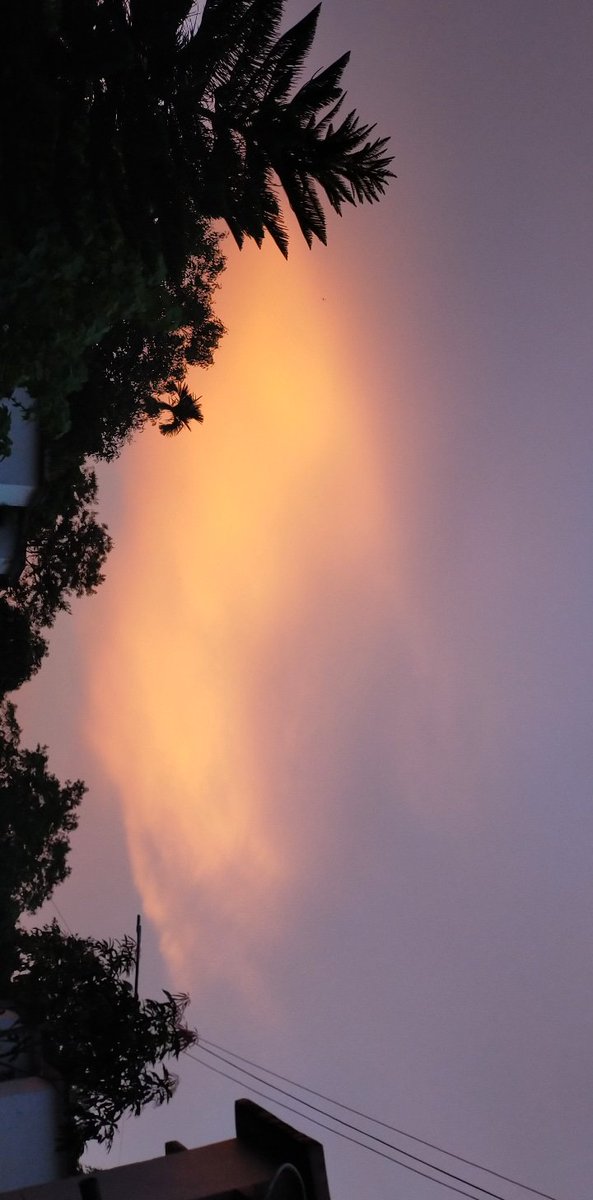 DihingiaPriya's tweet photo. I fell in love with the sky❤️❤️
@preetjazz_ @BearerDark @imnihal009 
#eveningsky 
#lovelive https://t.co/36Jd6HU5BH