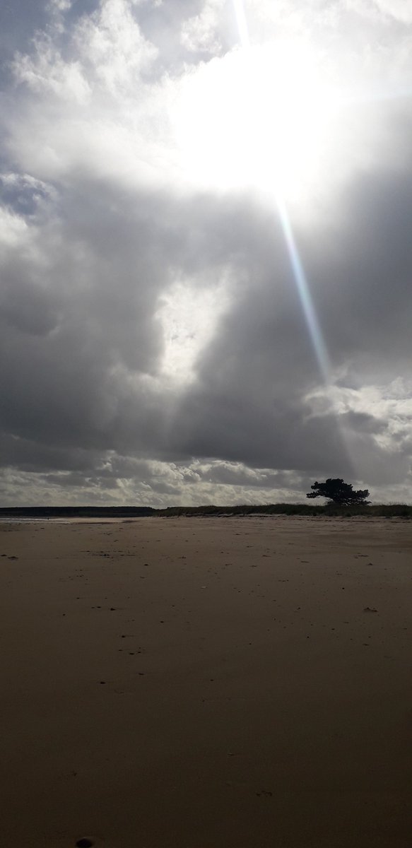 LairgLochview's tweet photo. Littleferry walking https://t.co/bNH54fGEDe