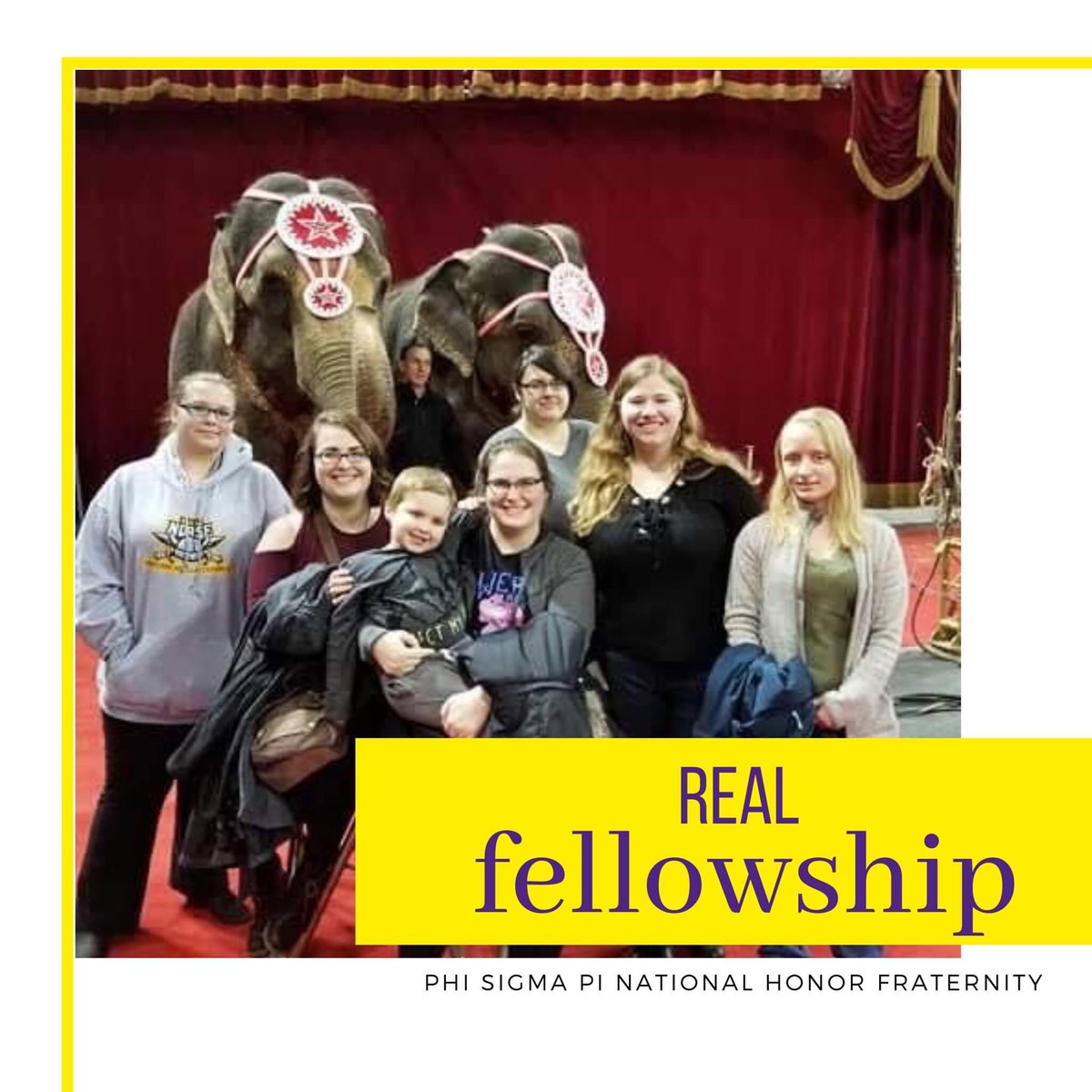 PhiSigmaPiNKU's tweet photo. The NKU Chapter of the gender-inclusive Phi Sigma Pi National Honor Fraternity invites you to attend our Recruitment Events on September 15th, 16th, and 17th on Zoom! Learn more and RSVP at https://t.co/6Gs9YmKXLP 

#pspep #psp #phisigmapi #nku #tripod #beabeewithpsp #fellowship https://t.co/Mwn4210E8l