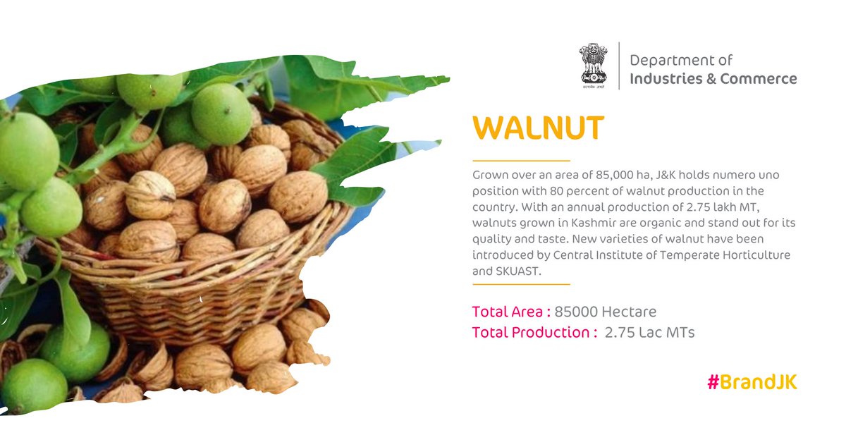 DoIC_JK's tweet photo. #StrenghtsofJK: The UT #JammuAndKashmir holds number one spot in #Walnut produce in the country and are known for its taste and quality. The region produces 2.75 MT of #Walnuts across the year. #BrandJK https://t.co/3LNNxBNg2h