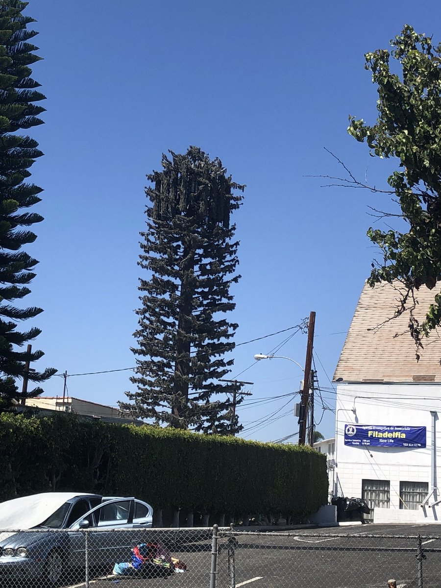33rdLvl's tweet photo. #FAKETREES #5G towers spotted in LA, CA. https://t.co/FUg2Rz2sYk