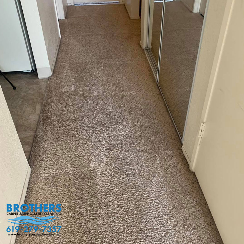 Regular, professional carpet cleanings are necessary for creating a comfortable environment. Request Your Free Quote Today 619-279-7357

#brotherscarpetcleaning
#sandiegocarpetcleaning
#carpetcleaningsandiego
#sandiego
#sandiegocounty
#sandiegowaterdamage 
#sandiegocleaning