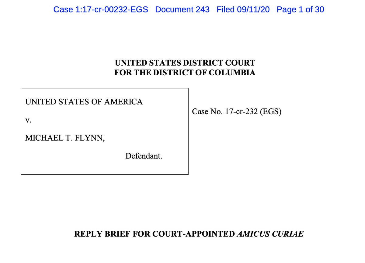 MIKE FLYNN'S CASE BACK IN DC DISTRICT COURT; MOB-HUNTER SUPREME JUDGE GLEESON (AMICUS CURIAE) PIMPSLAMPS BARR AND FLYNN A thread.