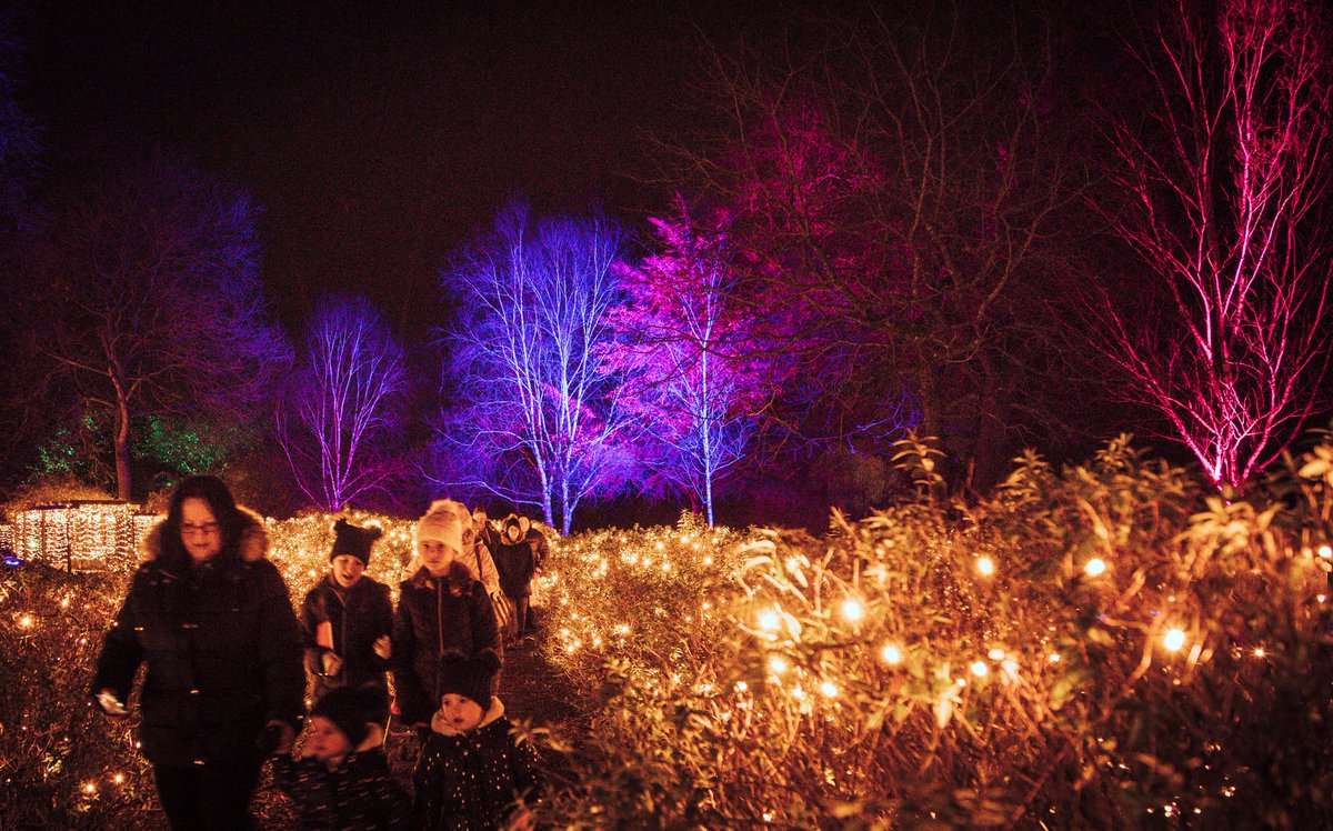 Luminate Wales At Margam Park Review Welsh Cakes Wellies