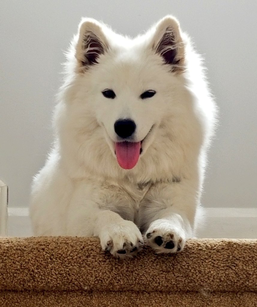 Someone is happy it's Friday!