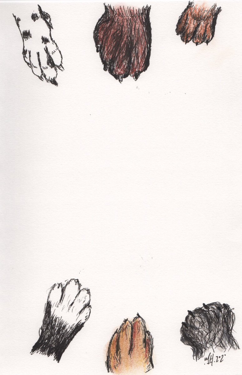 EdinburghFoxInk's tweet photo. A wee piece that seems apt and to try and inject some humour. Don’t forget to wash those hands/paws regularly. Will be on my Etsy shop v.soon and locally. #washyourhands #washyourpaws #cleanhands #funprint #illustration #edinburghartist #localartist https://t.co/8bXrmRzlS2