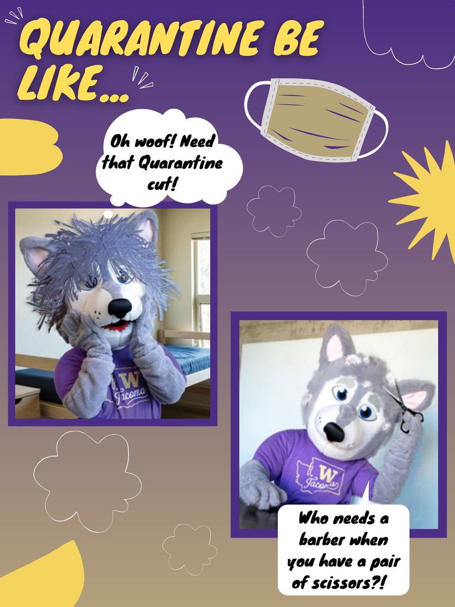 UWT Pack Advisors tweet media