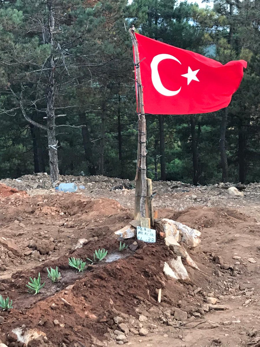 fethicagil's tweet photo. İntörn Dr. Merve Mercan kardeşimizin ebedi istirahatgahı. Kabri pür nur, mekânı ise cennet olsun. https://t.co/gdHjfMmBUP