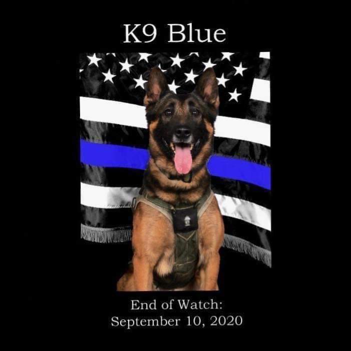 GwinnettPd's tweet photo. Remembering K9 Blue https://t.co/8zw0owL3eU