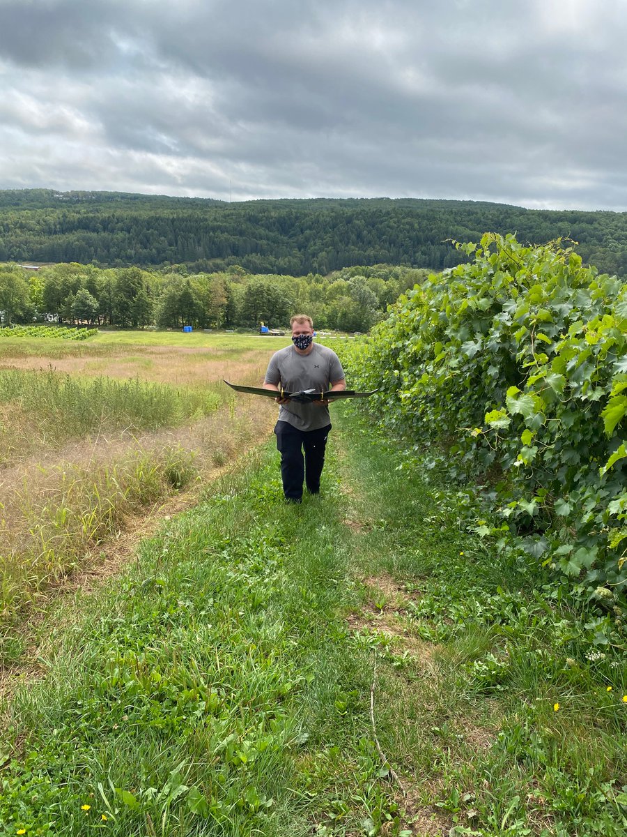 MathewVankough1's tweet photo. Yesterday was a wonderful day to assess grape vine health at @Benjamin_Bridge. Thanks to @BillLivingstone for helping conduct the flight. @NSCCResearch #EATLab https://t.co/AdL9isy50c